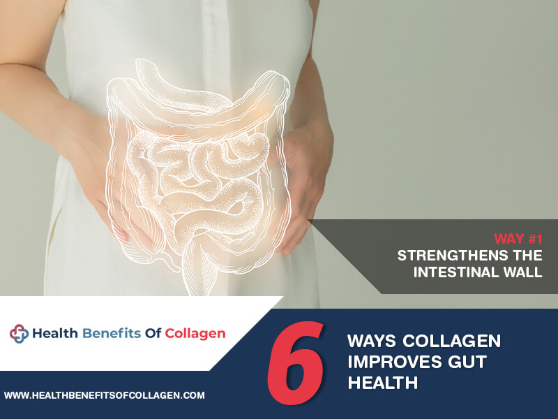 how collagen keeps the gut healthy
