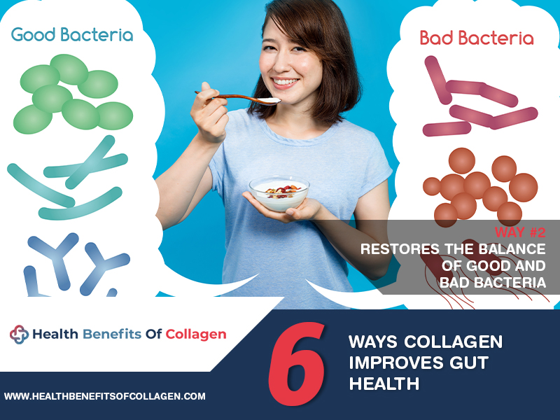  benefits of collagen for the gut