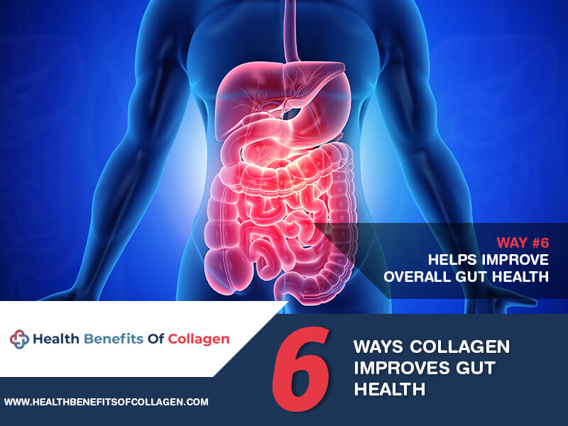 ways collagen improves gut health